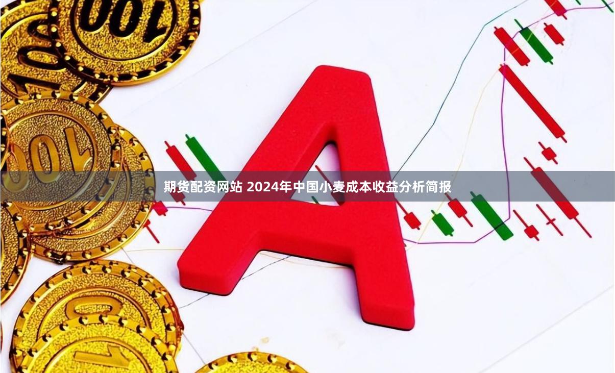 期货配资网站 2024年中国小麦成本收益分析简报
