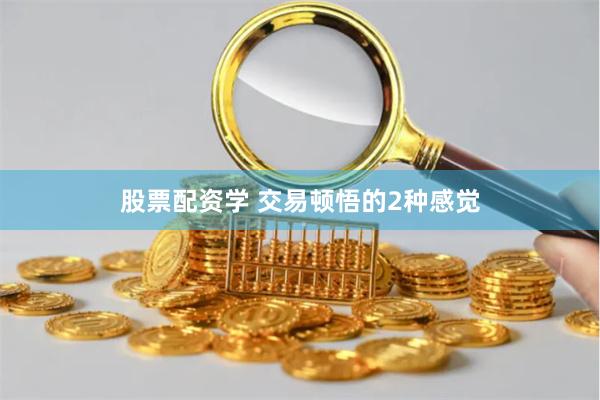 股票配资学 交易顿悟的2种感觉